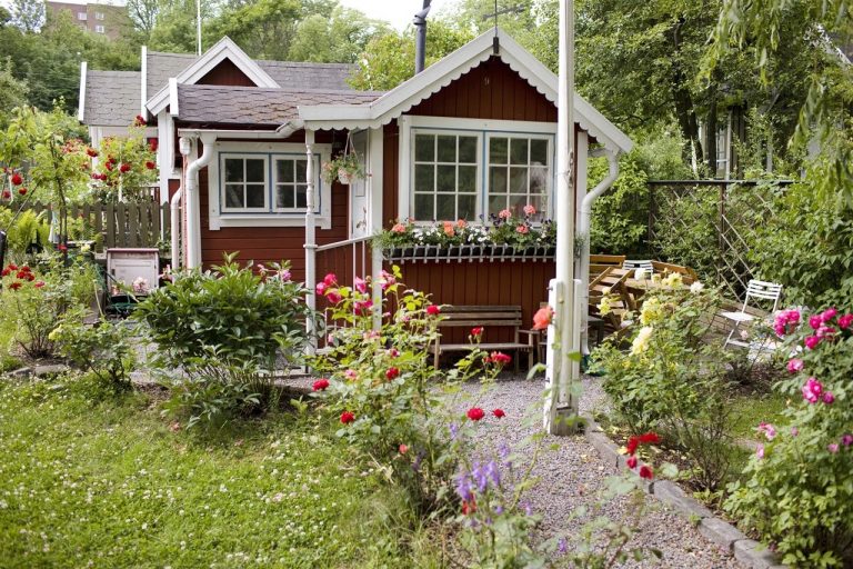 small home design with a garden