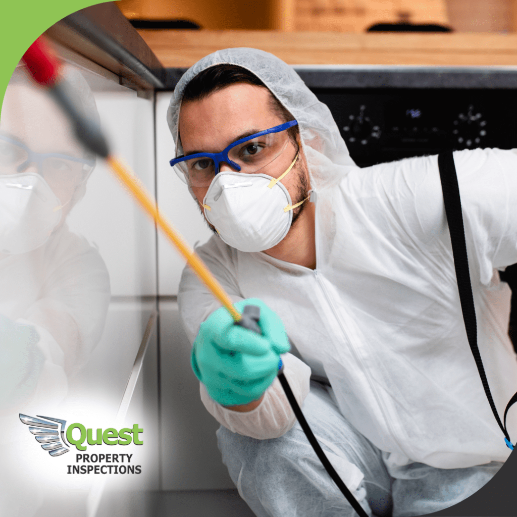 Technician spraying pesticide inside kitchen cabinet