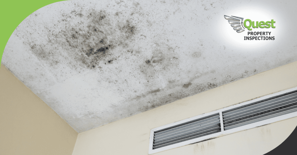 Mold speckled ceiling above HVAC vent