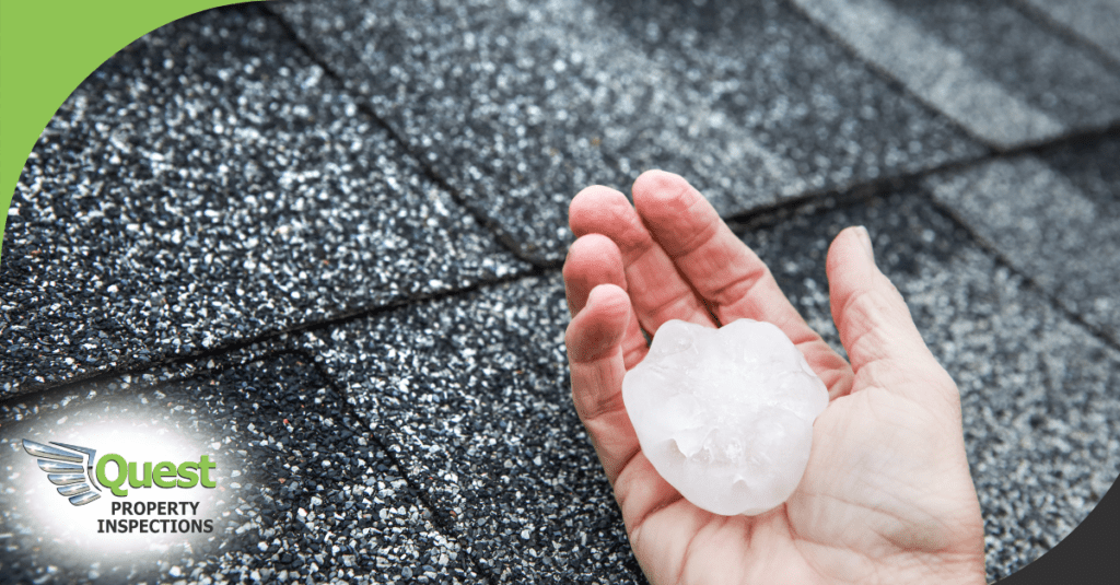 Hand displaying giant hailstone on roof
